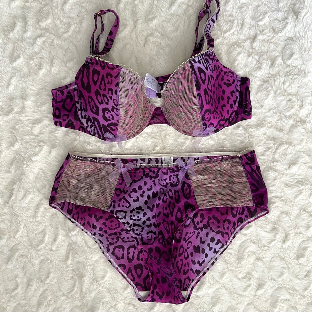 RARE NEW Christian Dior by John Galliano 2004 Purple Lingerie Set Bra & Panties